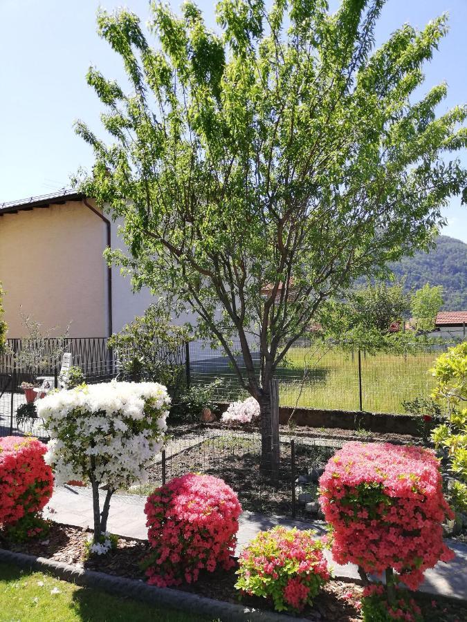 Apartmán La Rosa Rossa Cambiasca Exteriér fotografie